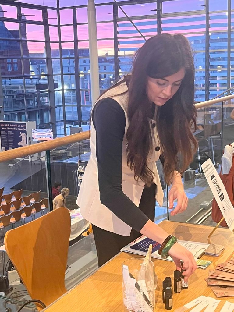 senedd